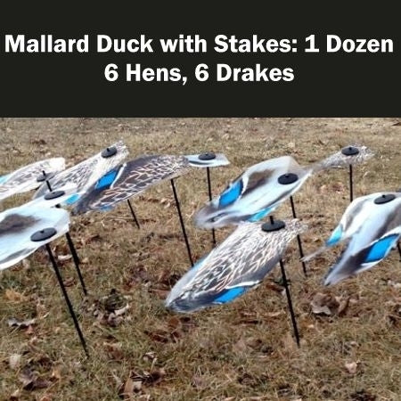 Fatal Flasher Mallard Field Pack with Stakes - 1 Dozen